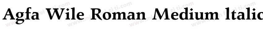 Agfa Wile Roman Medium ltalic字体转换